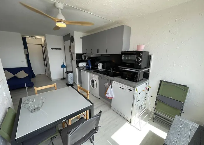 T2 Renove Avec Cabine, Piscine, Animaux Admis, Parking A 500m De La - Fr-1-106-49 Appartement
