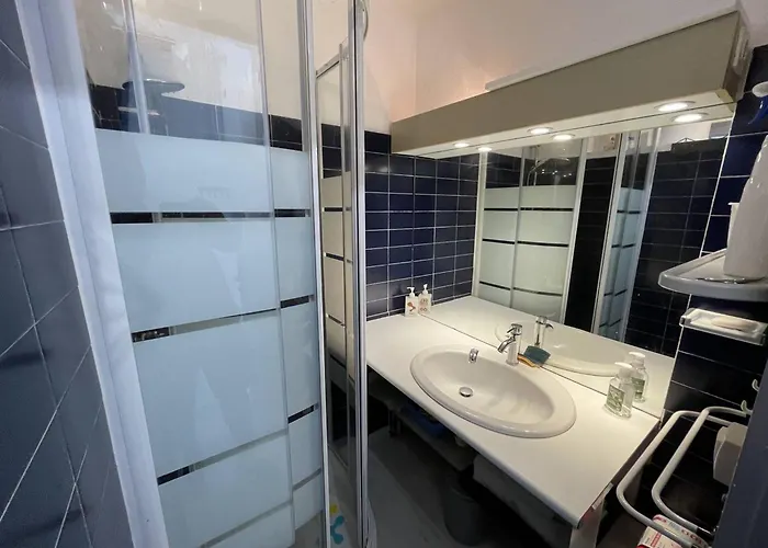 Appartement T2 Renove Avec Cabine, Piscine, Animaux Admis, Parking A 500m De La - Fr-1-106-49