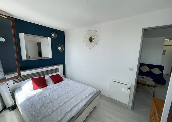 T2 Renove Avec Cabine, Piscine, Animaux Admis, Parking A 500m De La - Fr-1-106-49