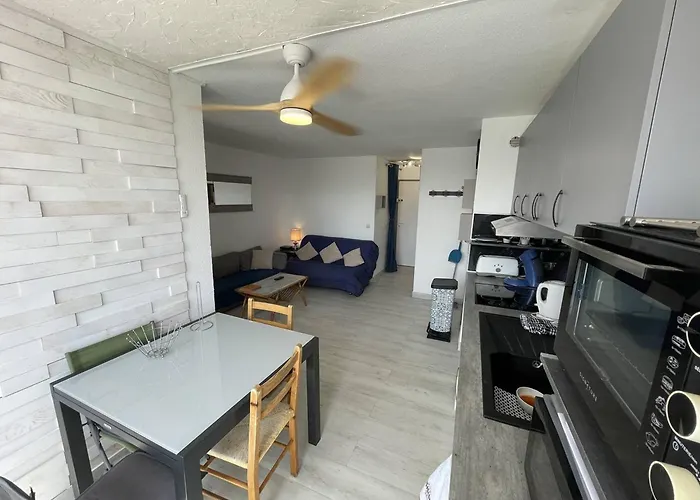 T2 Renove Avec Cabine, Piscine, Animaux Admis, Parking A 500m De La - Fr-1-106-49 *