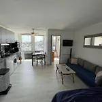 Apartmán T2 Renove Avec Cabine, Piscine, Animaux Admis, Parking A 500m De La - Fr-1-106-49 Saint-Cyprien (Pyrenees-Orientales)