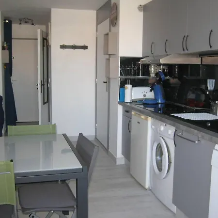 Apartment T2 Renove Avec Cabine, Piscine, Animaux Admis, Parking A 500m De La - Fr-1-106-49 *