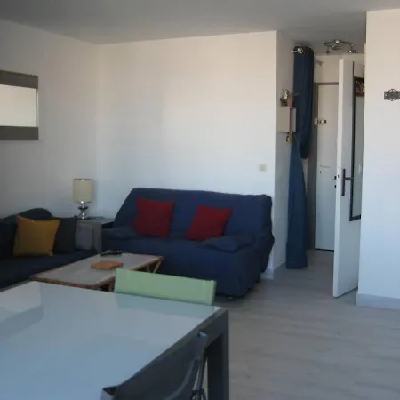 T2 Renove Avec Cabine, Piscine, Animaux Admis, Parking A 500m De La - Fr-1-106-49 Apartment *