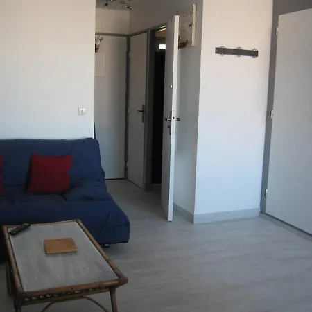 T2 Renove Avec Cabine, Piscine, Animaux Admis, Parking A 500m De La - Fr-1-106-49 * Saint-Cyprien (Pyrenees-Orientales)