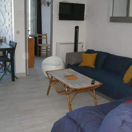 T2 Renove Avec Cabine, Piscine, Animaux Admis, Parking A 500m De La - Fr-1-106-49 * Saint-Cyprien (Pyrenees-Orientales)