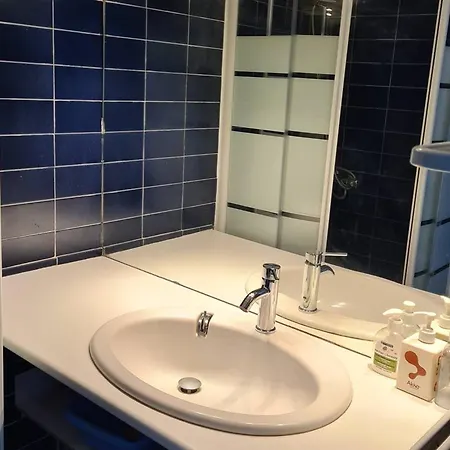 Apartment T2 Renove Avec Cabine, Piscine, Animaux Admis, Parking A 500m De La - Fr-1-106-49 Saint-Cyprien (Pyrenees-Orientales)
