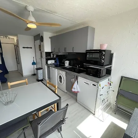 T2 Renove Avec Cabine, Piscine, Animaux Admis, Parking A 500m De La - Fr-1-106-49 Апартаменты