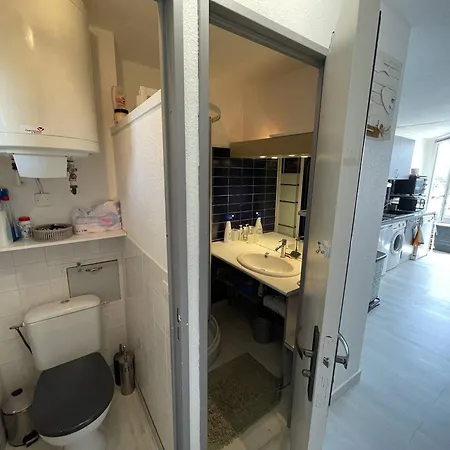 T2 Renove Avec Cabine, Piscine, Animaux Admis, Parking A 500m De La - Fr-1-106-49 *
