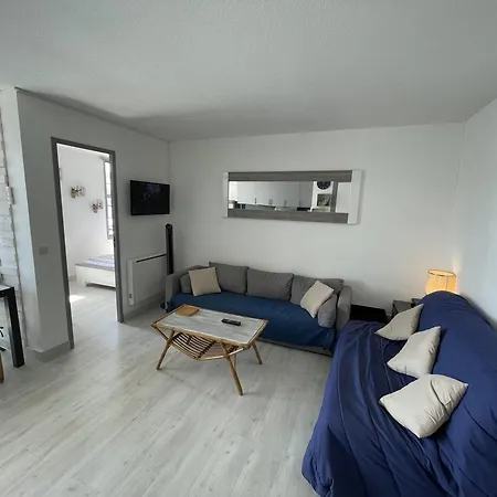 Apartment T2 Renove Avec Cabine, Piscine, Animaux Admis, Parking A 500m De La - Fr-1-106-49