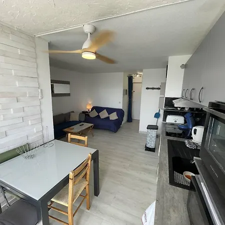 T2 Renove Avec Cabine, Piscine, Animaux Admis, Parking A 500m De La - Fr-1-106-49 *