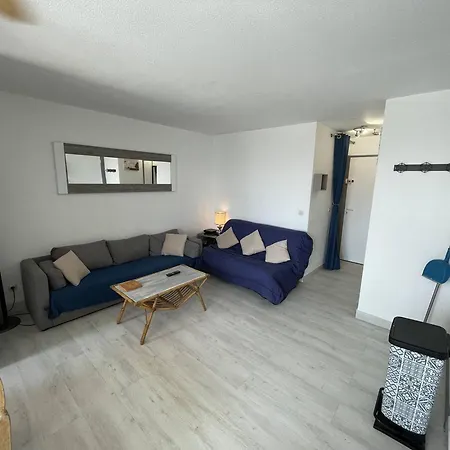 Apartment T2 Renove Avec Cabine, Piscine, Animaux Admis, Parking A 500m De La - Fr-1-106-49 Saint-Cyprien (Pyrenees-Orientales)