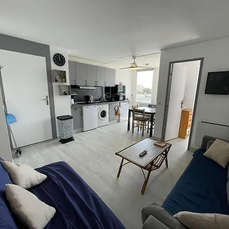 T2 Renove Avec Cabine, Piscine, Animaux Admis, Parking A 500m De La - Fr-1-106-49