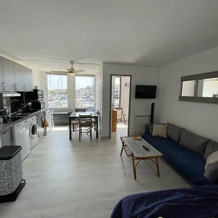 Apartment T2 Renove Avec Cabine, Piscine, Animaux Admis, Parking A 500m De La - Fr-1-106-49 Saint-Cyprien (Pyrenees-Orientales)
