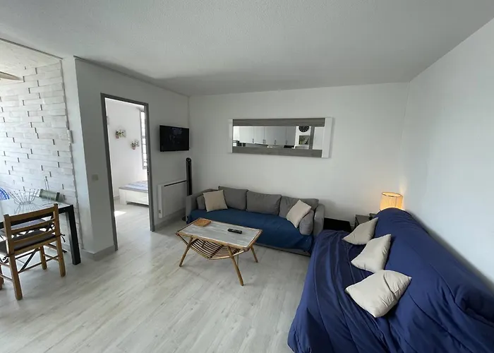 Appartement T2 Rénové Avec Cabine, Piscine, Animaux Admis, Parking à 500m De La - Fr-1-106-49