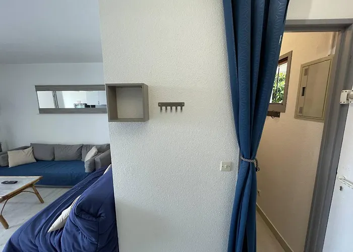Appartement T2 Rénové Avec Cabine, Piscine, Animaux Admis, Parking à 500m De La - Fr-1-106-49 Saint-Cyprien (Pyrenees-Orientales)