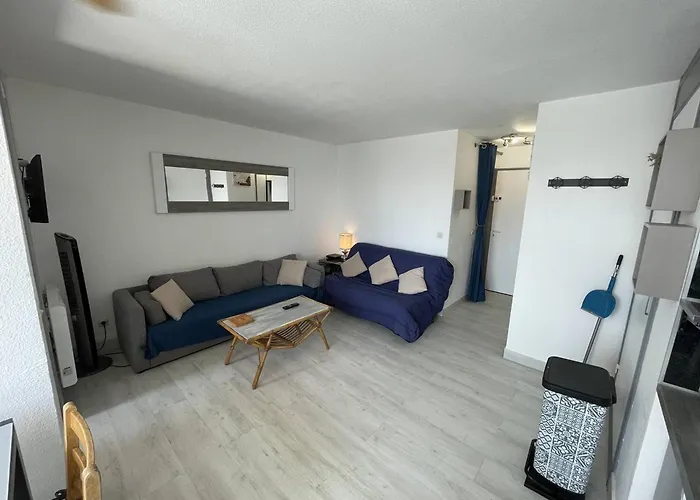 Appartement T2 Rénové Avec Cabine, Piscine, Animaux Admis, Parking à 500m De La - Fr-1-106-49 Saint-Cyprien (Pyrenees-Orientales)