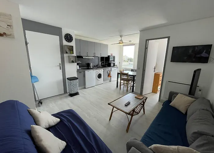 T2 Rénové Avec Cabine, Piscine, Animaux Admis, Parking à 500m De La - Fr-1-106-49